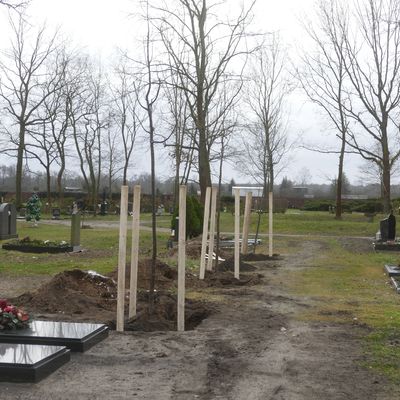 Friedhof Oranienbaum 2
