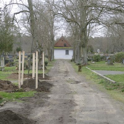 Friedhof Oranienbaum 3