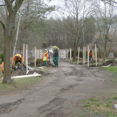 Friedhof Oranienbaum 4