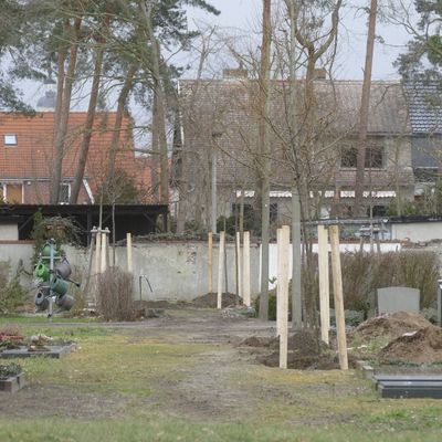 Friedhof Oranienbaum 5