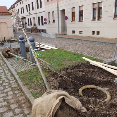 WörlitzerMarkt 4