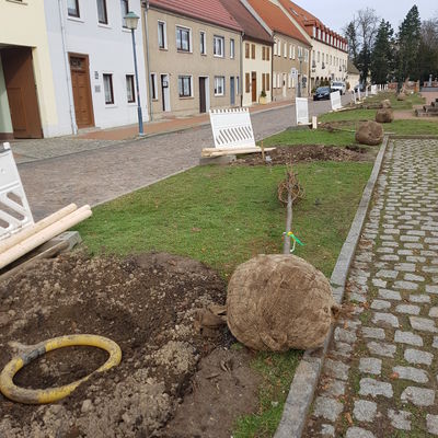WörlitzerMarkt 5