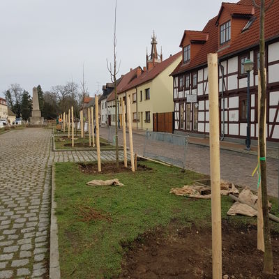 WörlitzerMarkt 6