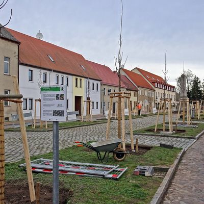 WörlitzerMarkt 9                    