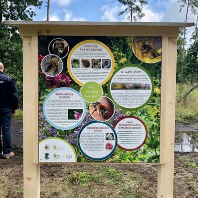 Brutstelle für Wildbienen Beschreibung
