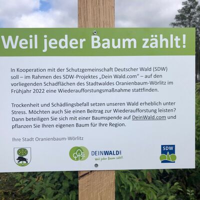 Stadtwald Oranienbaum Schutzgemeinschaft Deutscher Wald