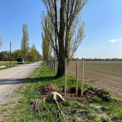 Zedernweg4