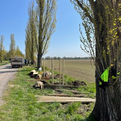 Zedernweg2