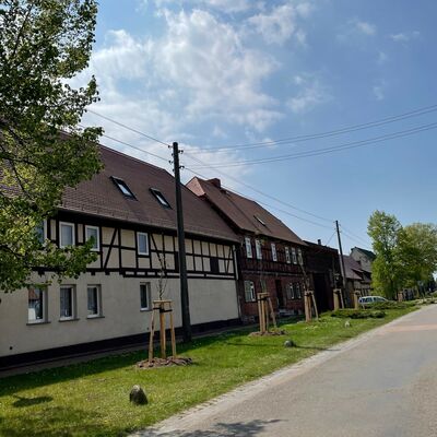Griesen Baumpflanzung