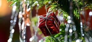 Weihnachten in Kakau am 14.12.2022