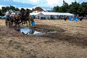 Goltewitz Dorffest Kutsche