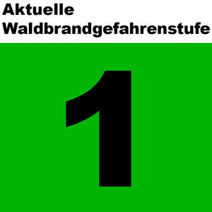Waldbrand1