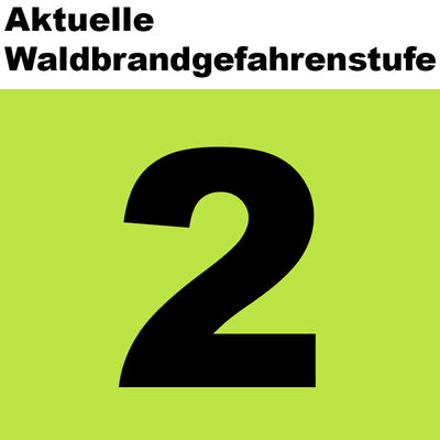 Waldbrand2