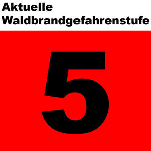 Waldbrand5