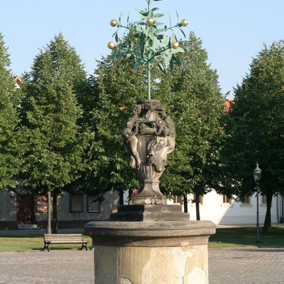 Orangenbaum Oranienbaum