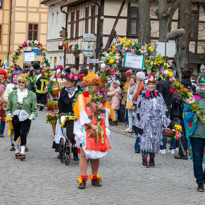 FrühErwachen2024-35