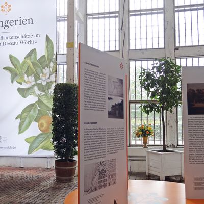 Ausstellung Orangerie 2      