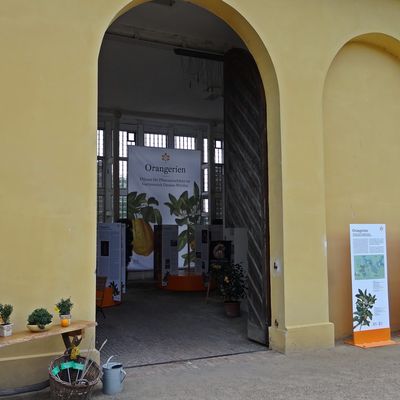 Ausstellung Orangerie 3                         