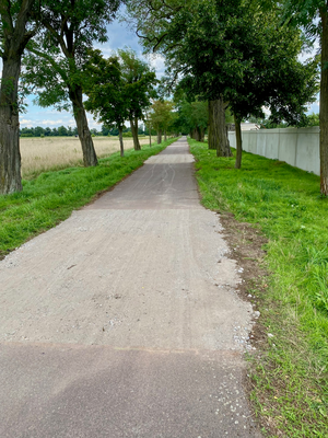 R1 Radweg Oranienbaum-Goltewitz