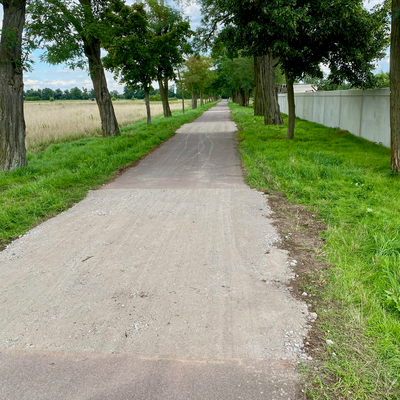 R1 Radweg Oranienbaum-Goltewitz