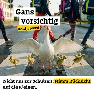 Quadrat_1080x1080px_MS_Motiv_Achtung-Kinder