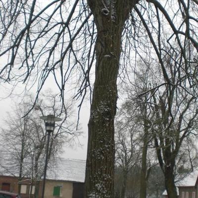 Goltewitz_Heinrich-Heine-Str_2