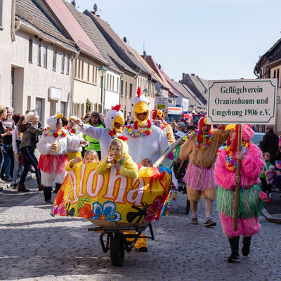 Der Geflügelverein Oranienbaum und Umgebung