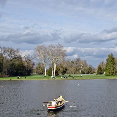 Das Gondelwettrennen