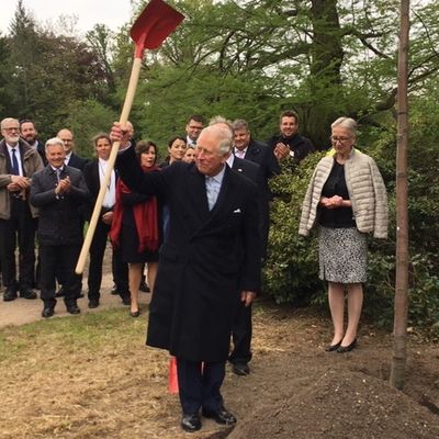 Prinz Charles bei der Pflanzung des Mehlbeerbaumes im Wörlitzer Park
