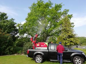 Bodensprühverfahren gegen den Eichenprozessionsspinner