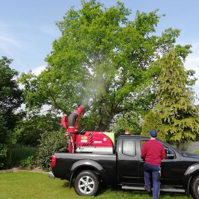 Bodensprühverfahren gegen den Eichenprozessionsspinner